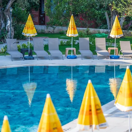 Katre オルデニズ