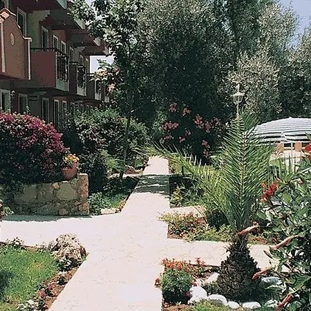 Katre 4*